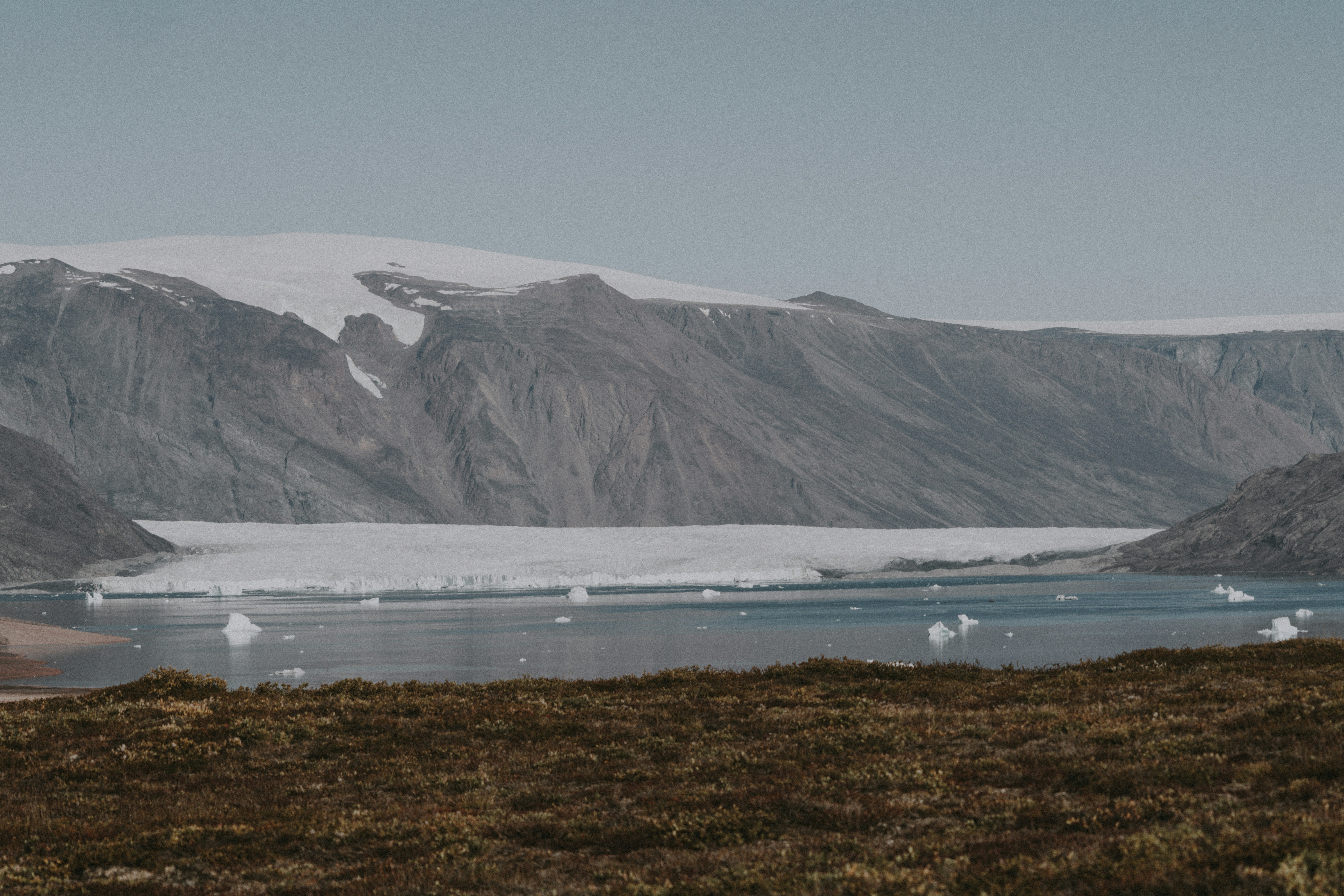 The Narwhal’s Place in Arctic Ecosystems (image credits: unsplash)