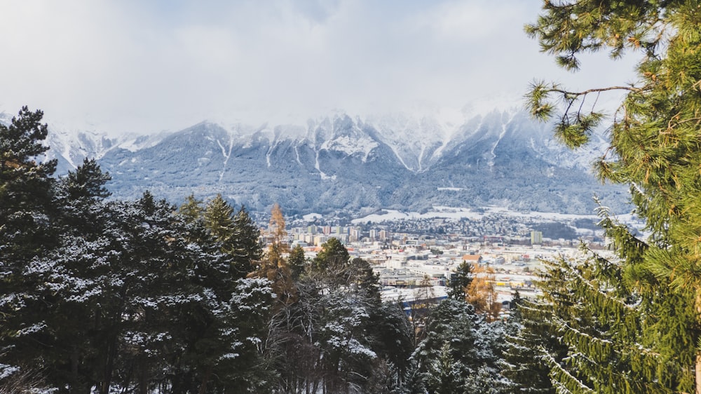 aerial photography of mountain