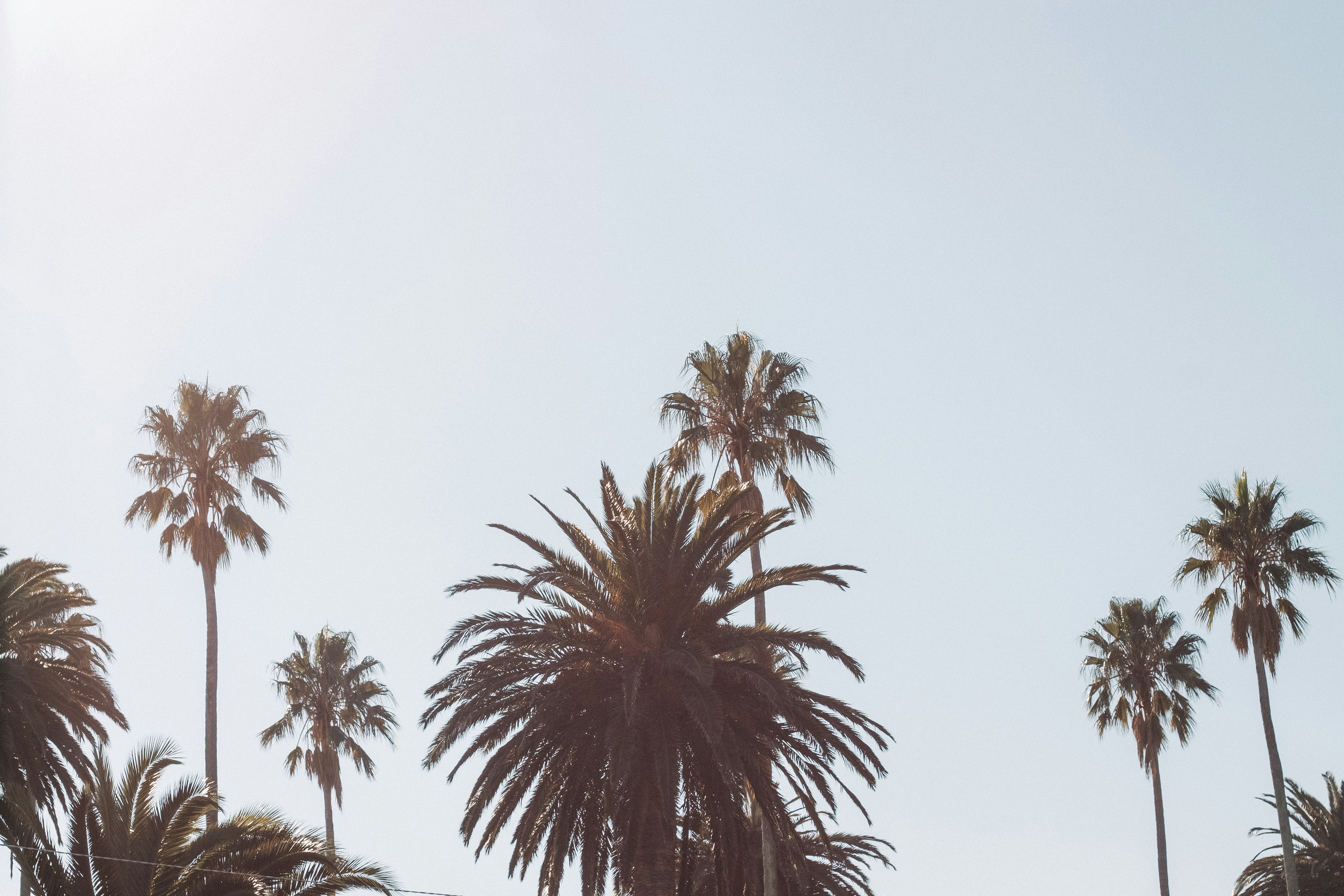 Photo by maddibazzocco