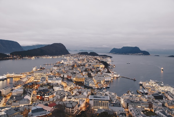 bird's-eye view photo of city near ocean