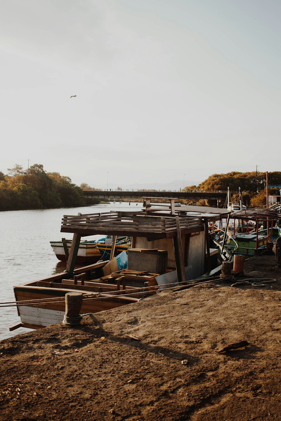 brown and white boat