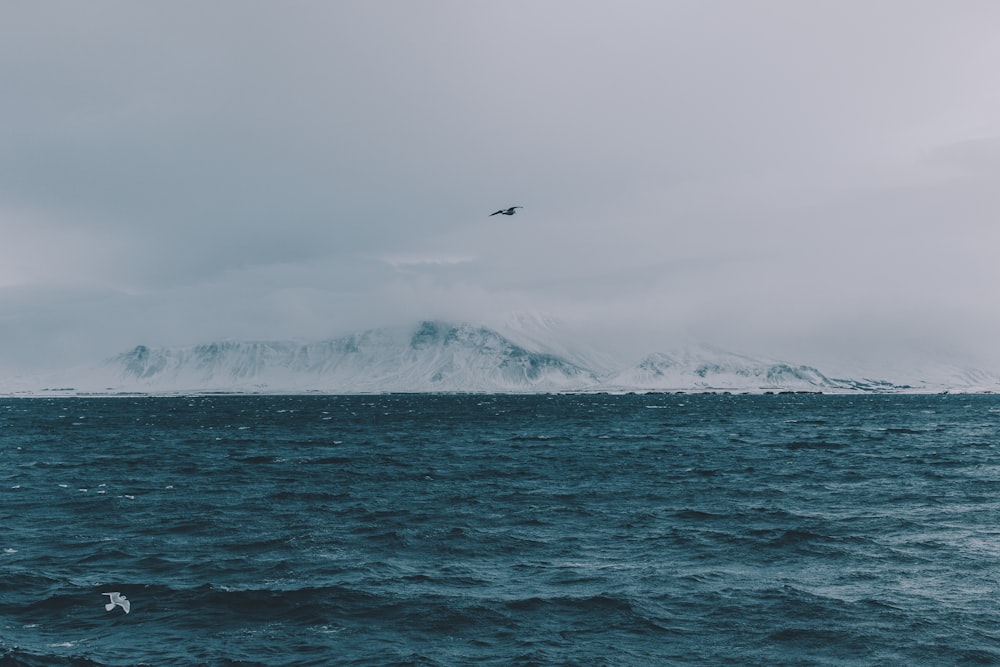 body of water overlooking snow capped mountain at daytime