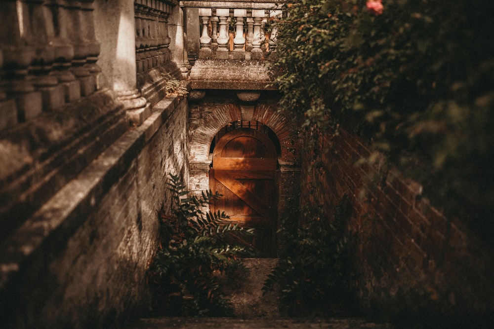 closed brown wooden door under stairs