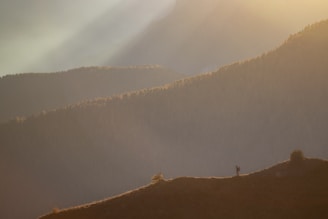 A hiker standing on a rocky peak overlooking a vast mountain range bathed in golden sunlight.