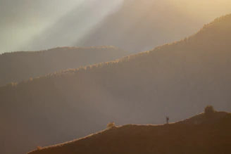A winding mountain trail bathed in golden sunlight with a lone hiker gazing at the distant peaks.