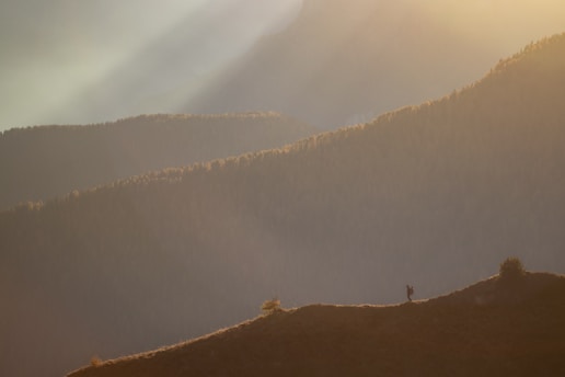 A winding mountain trail bathed in golden afternoon light, with a lone hiker pausing to take in the view.