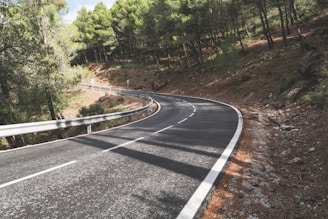 asphalt road between trees during daytime