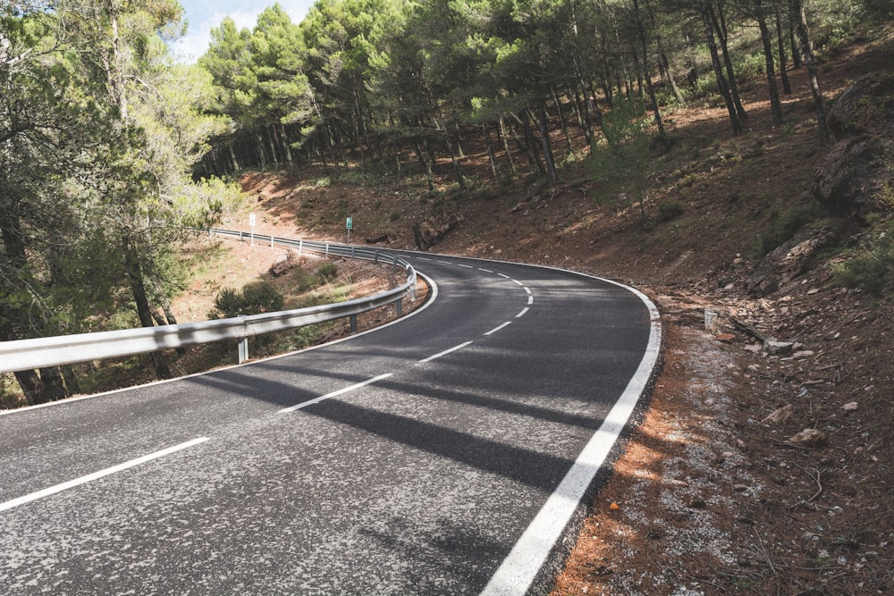 asphalt road between trees during daytime