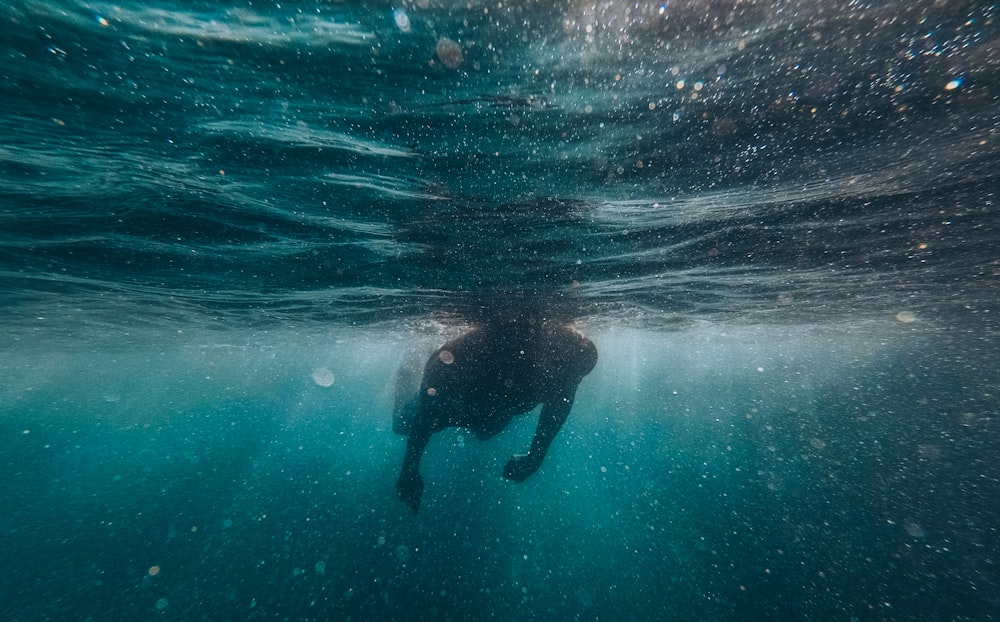 homem nadando debaixo d'água