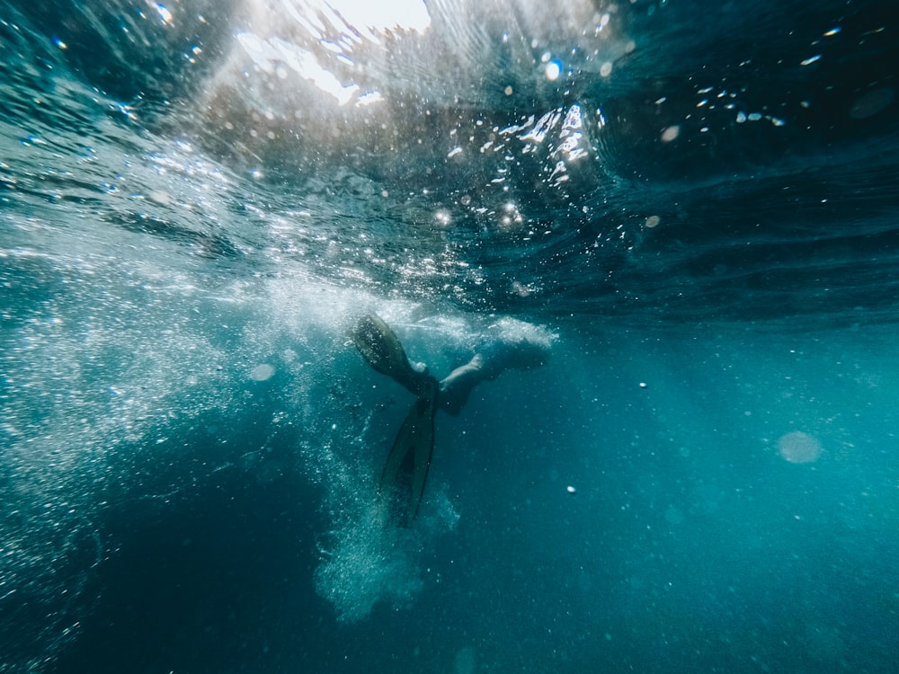 person diving in body of water