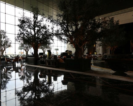 A spacious and elegant indoor area features large windows with natural light streaming through. There are several tall potted trees and neatly arranged tables and chairs. The floor is glossy and reflective, enhancing the sense of openness.