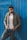 man standing near blue wall