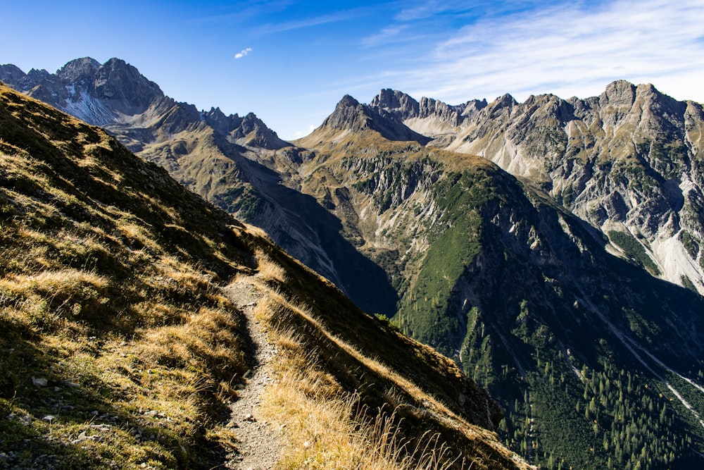 grass covered mountain