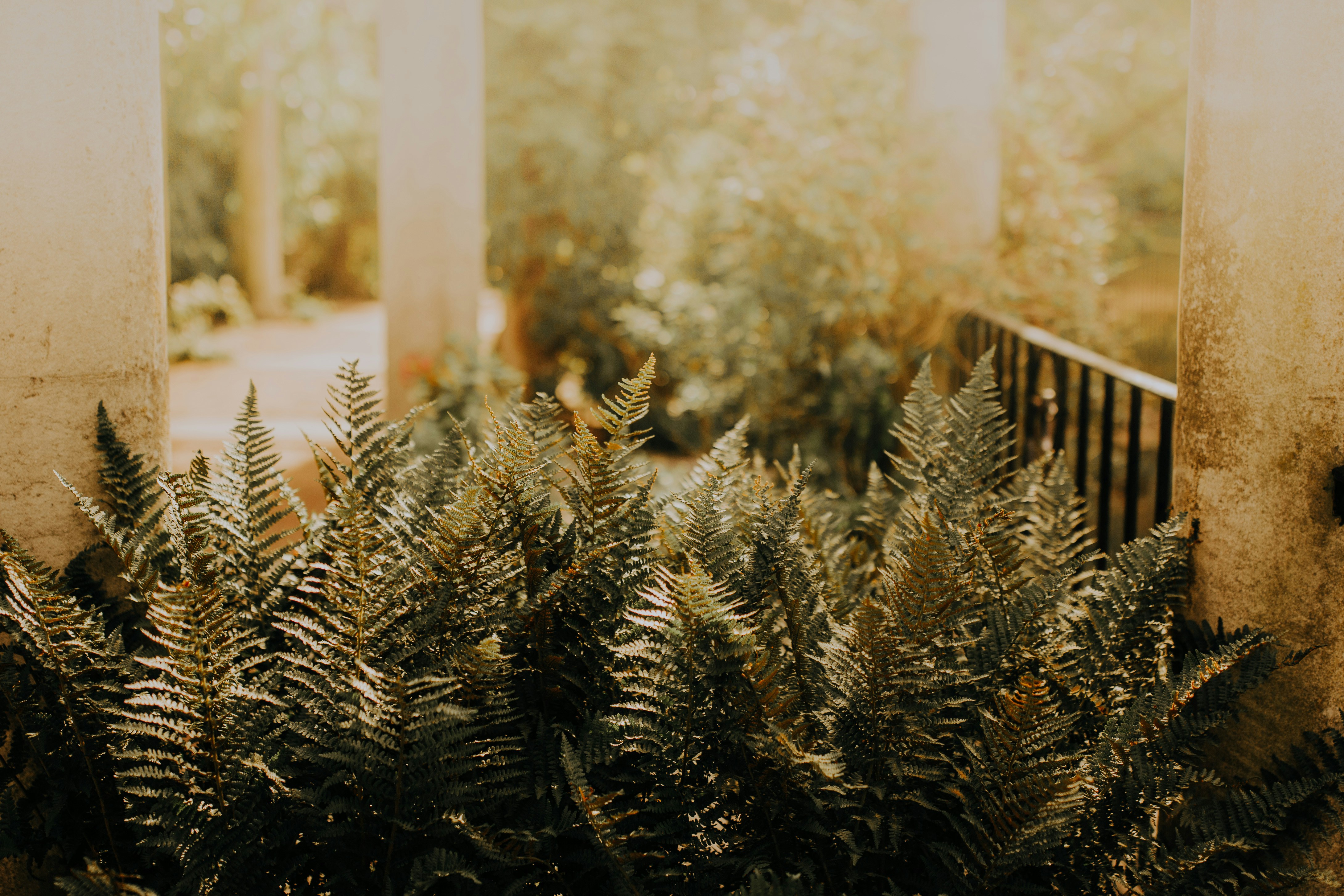 Photo by alekonpictures