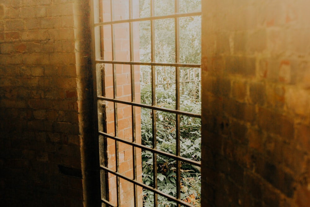 brown wooden frame glass panel door