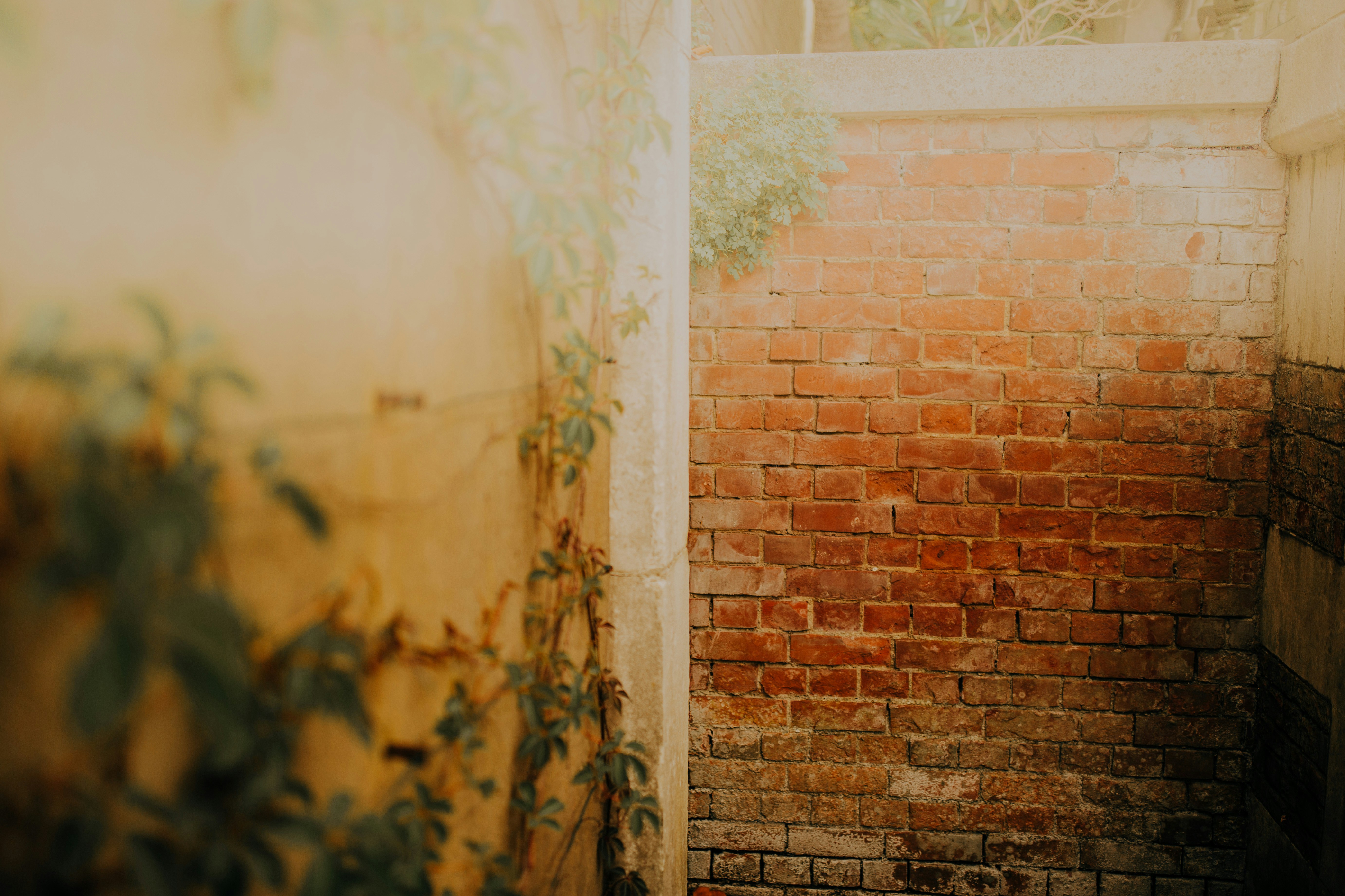 Photo by alekonpictures