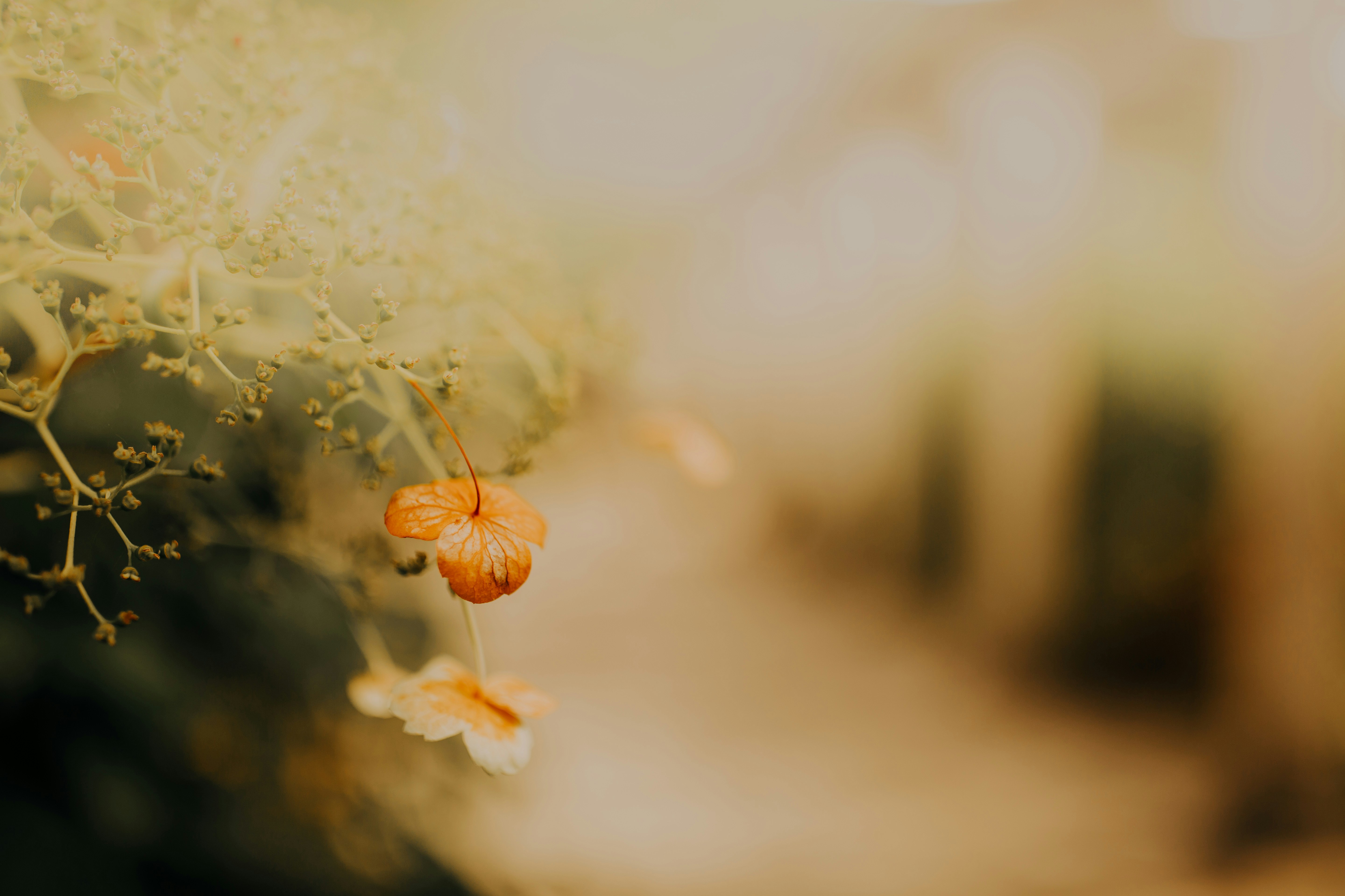 Photo by alekonpictures