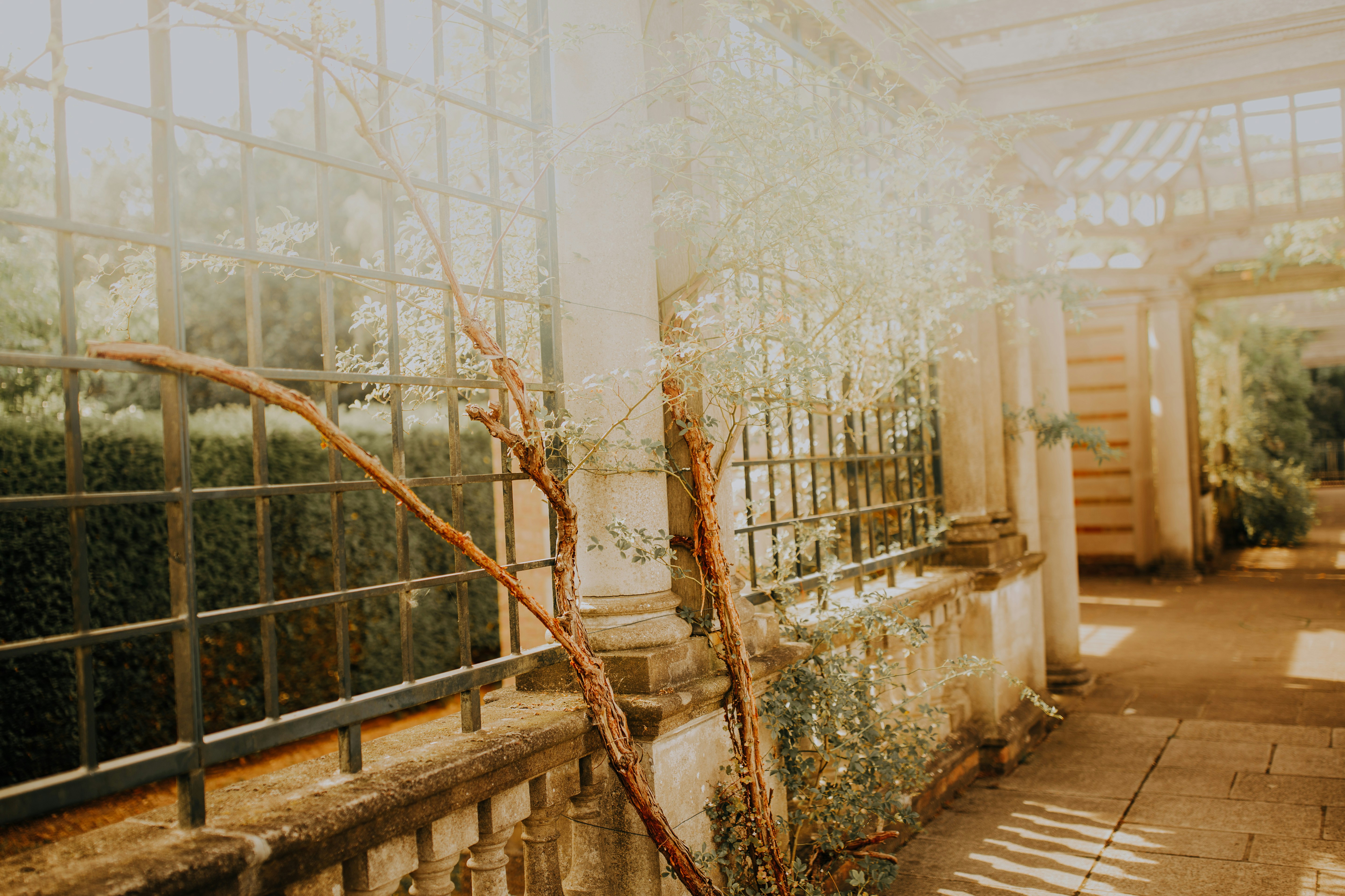 Photo by alekonpictures