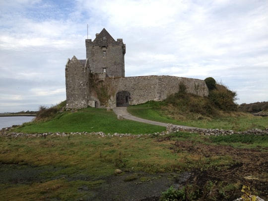 brown castle beside body of water in Dunguaire Castle Ireland