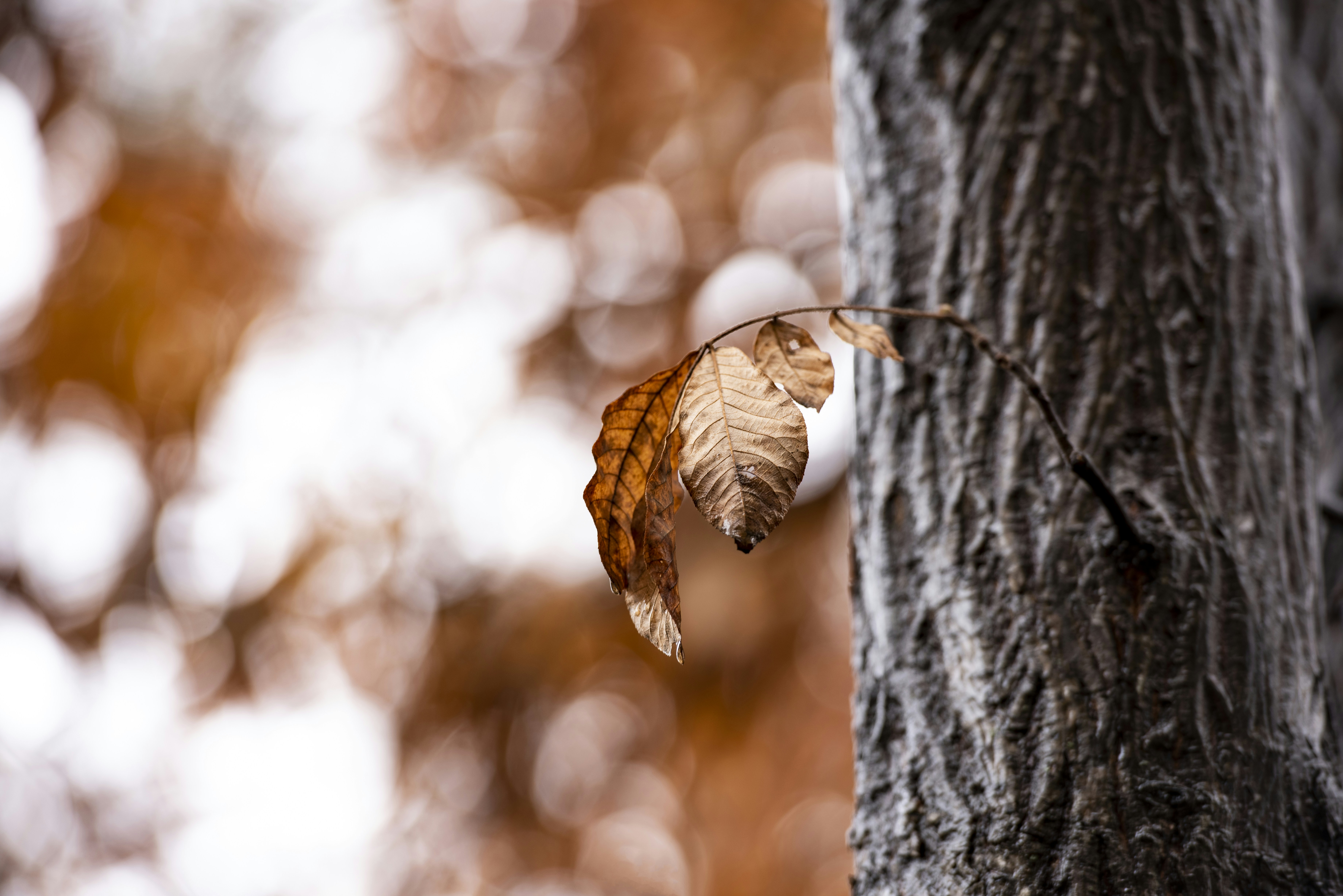 Photo by erdaest