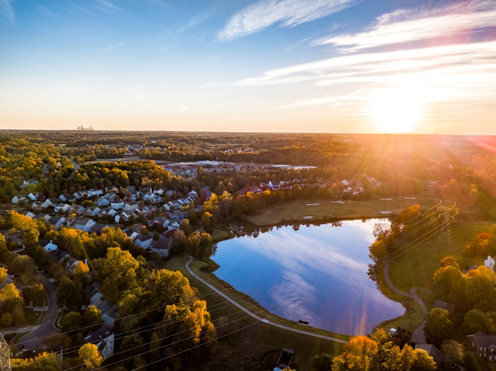 houses near lake surrounded with trees