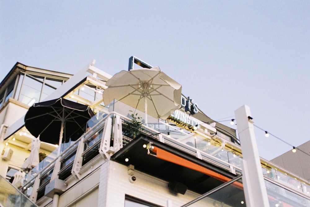 low-angle photography of umbrella