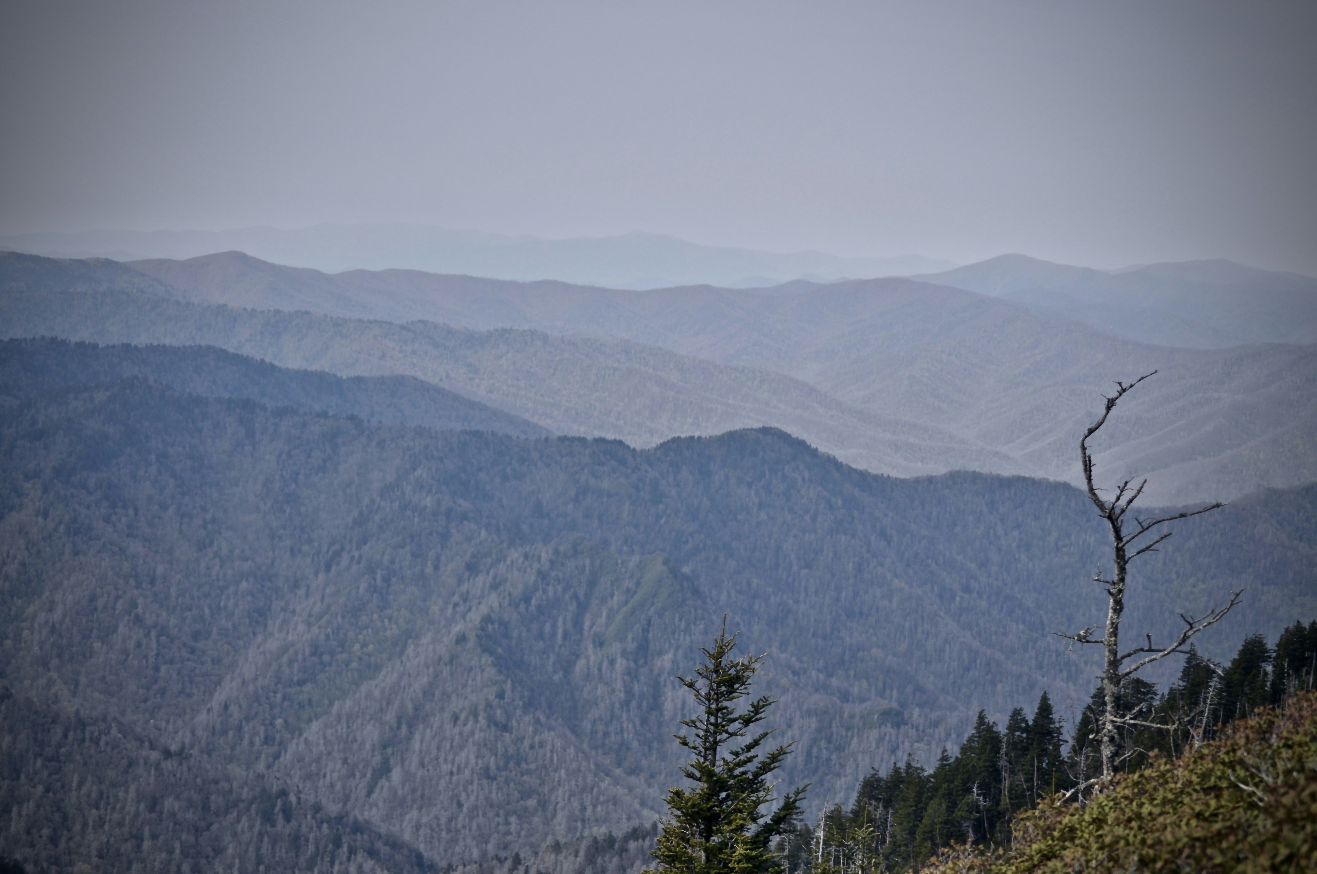 Photo by william_smith2024