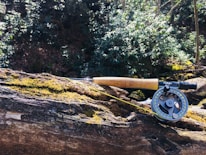 A fishing rod laid on a moss-covered fallen tree trunk in a lush forest setting. The rod has a wooden handle and the reel is prominently visible. Sunlight filters through the trees, highlighting some areas of the scene.