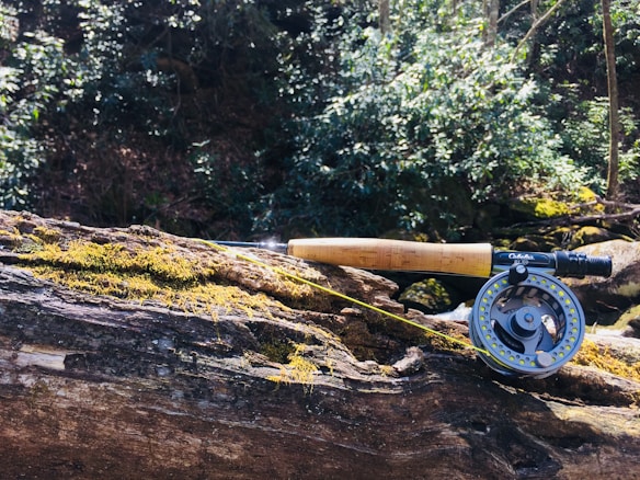 A fishing rod laid on a moss-covered fallen tree trunk in a lush forest setting. The rod has a wooden handle and the reel is prominently visible. Sunlight filters through the trees, highlighting some areas of the scene.