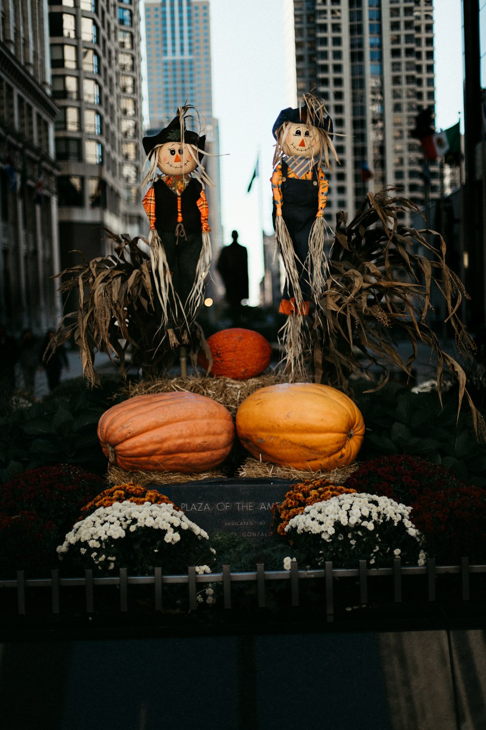 orange pumpkin photography