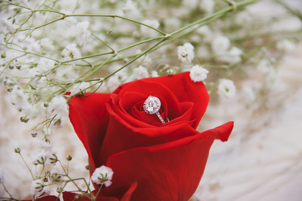 silver-colored ring on top of rose