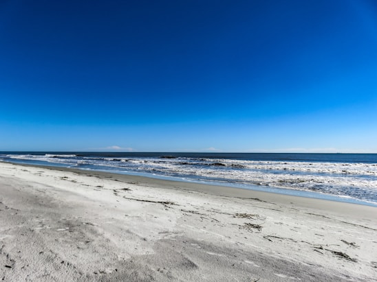 A serene beach scene with soft waves lapping at the shore, showcasing natural elements like seashells and driftwood.