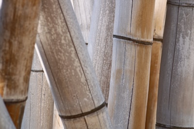 Close-up view of several bamboo stalks with visible texture and natural coloration. The stalks vary in shades of brown and gray, with distinct horizontal ridges marking their joints.