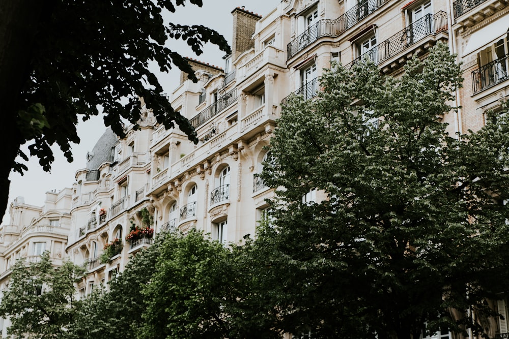 leafed trees in front of building during daytime