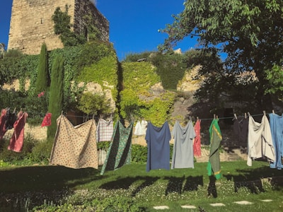 Colorful laundry hangs on a clothesline stretched across a grassy yard. In the background, an old stone building covered in lush green ivy complements the clear blue sky. Tall trees and shrubs frame the scene, casting soft shadows on the ground.