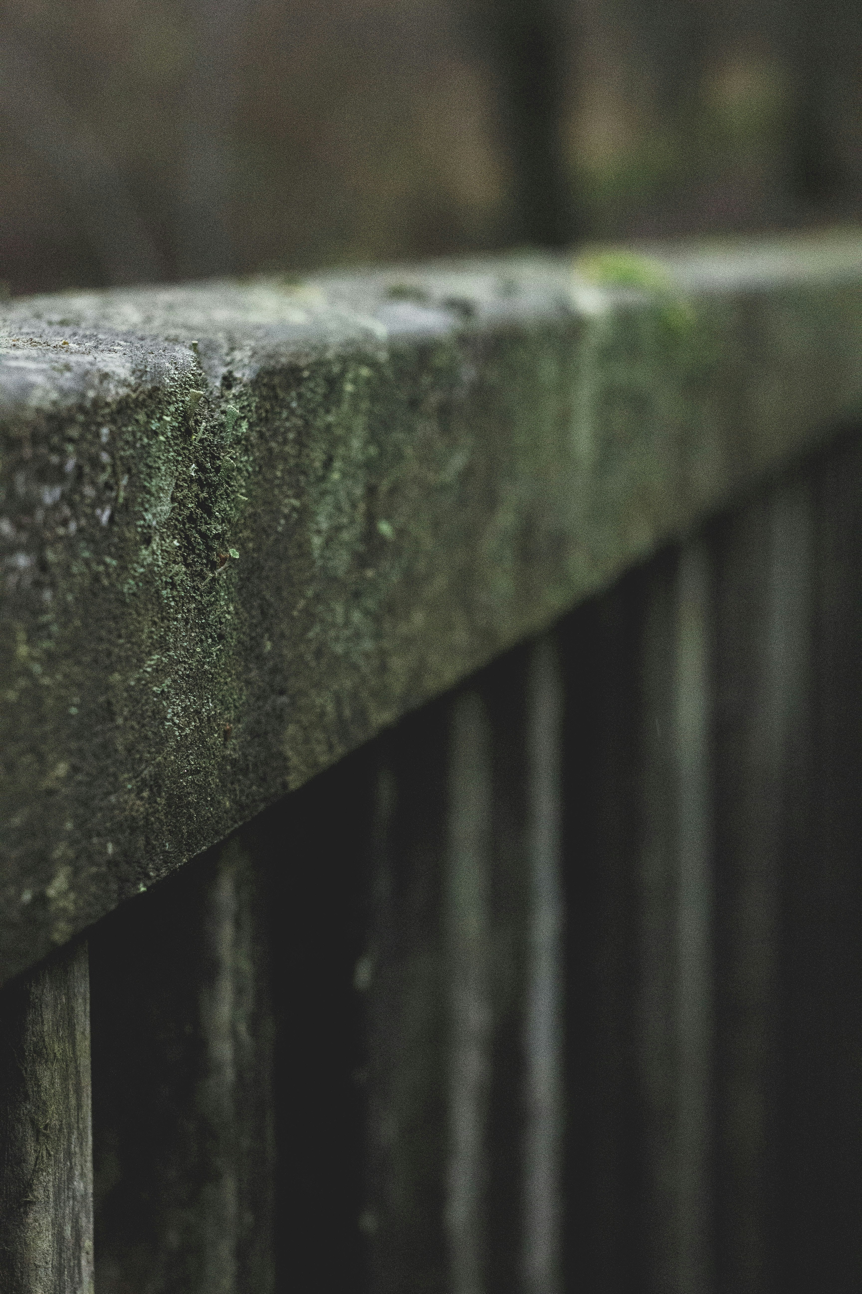 Photo by donaldedgar