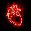 heart neon signage