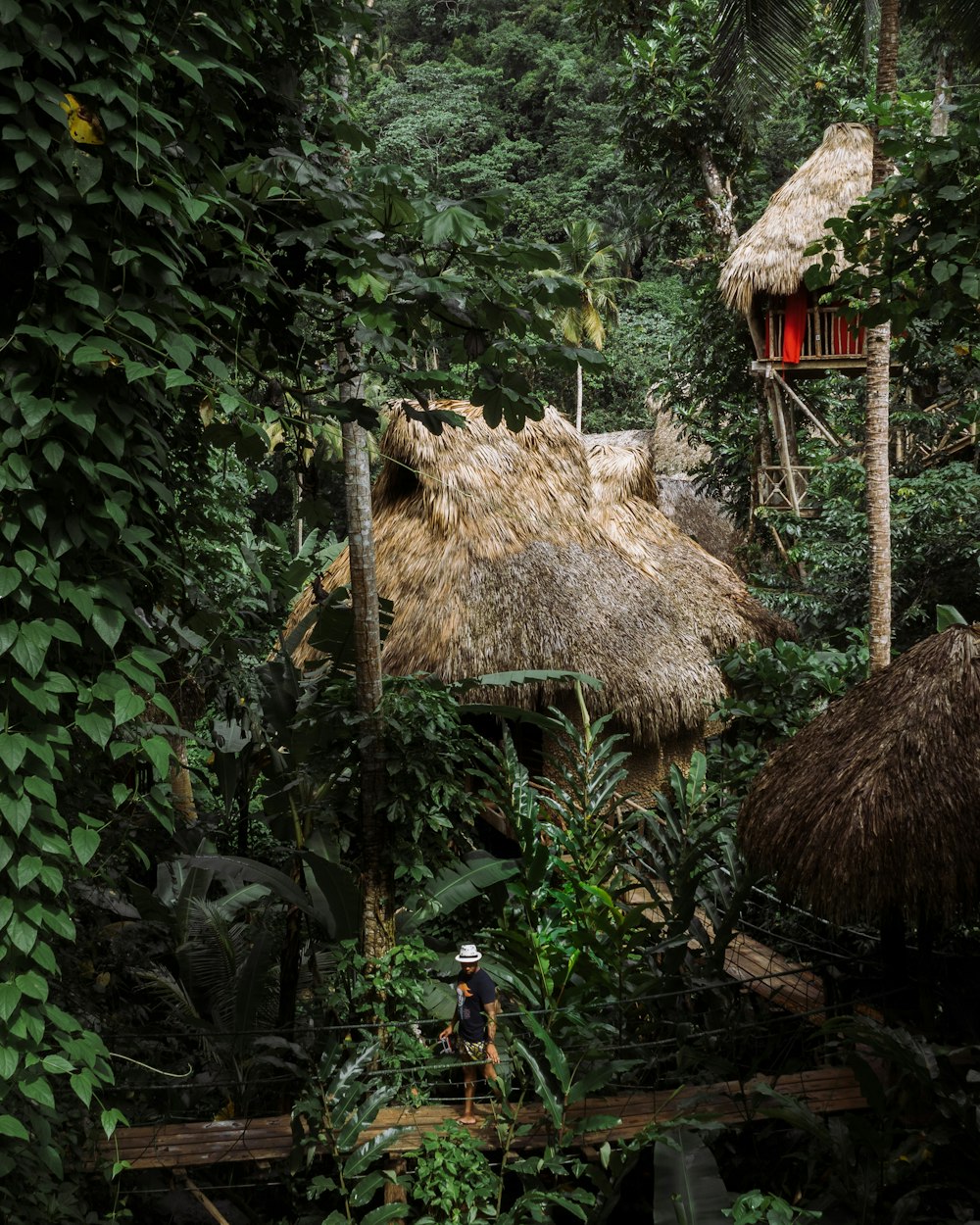 Cabaña marrón rodeada de árboles durante el día