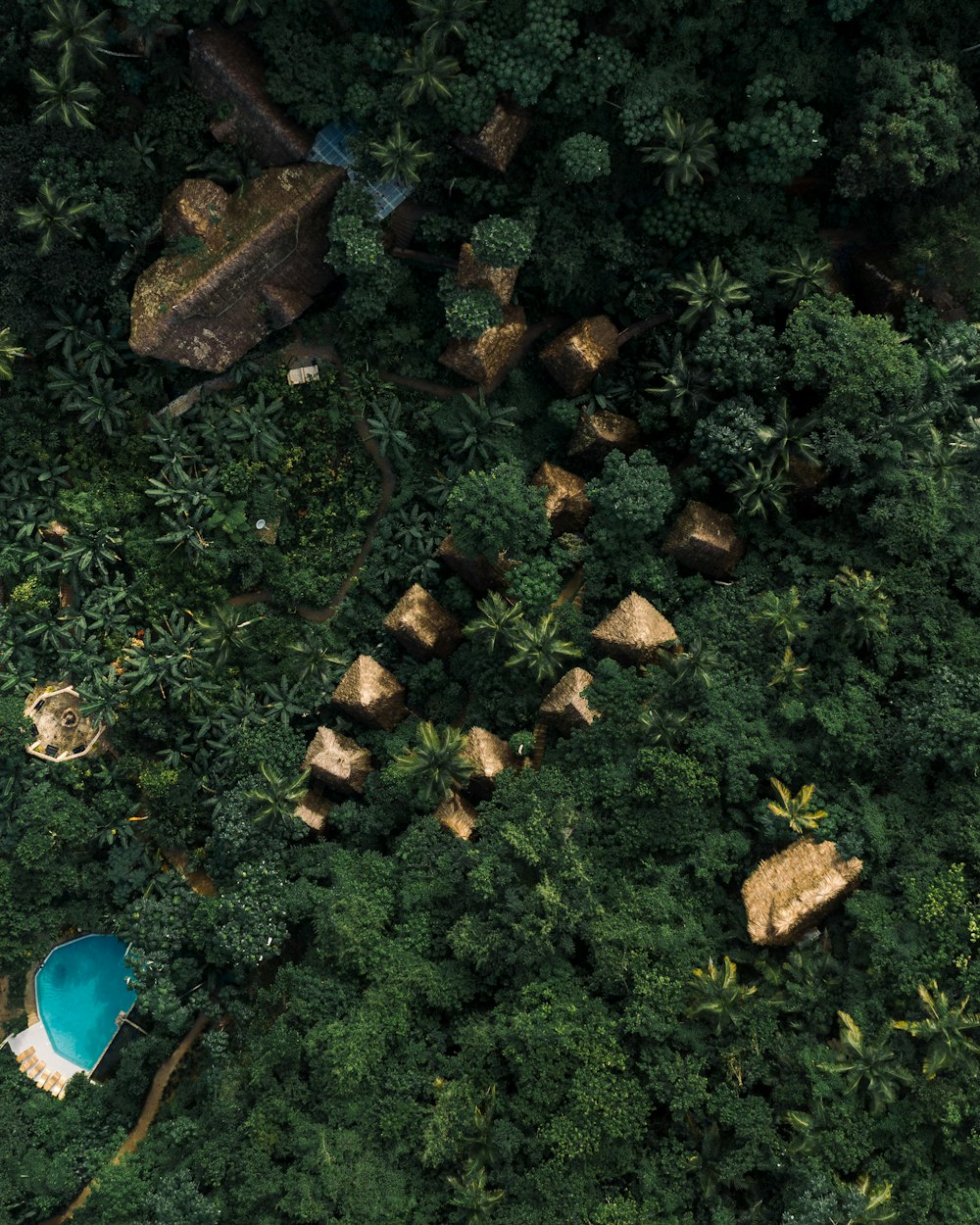 houses surrounded with trees