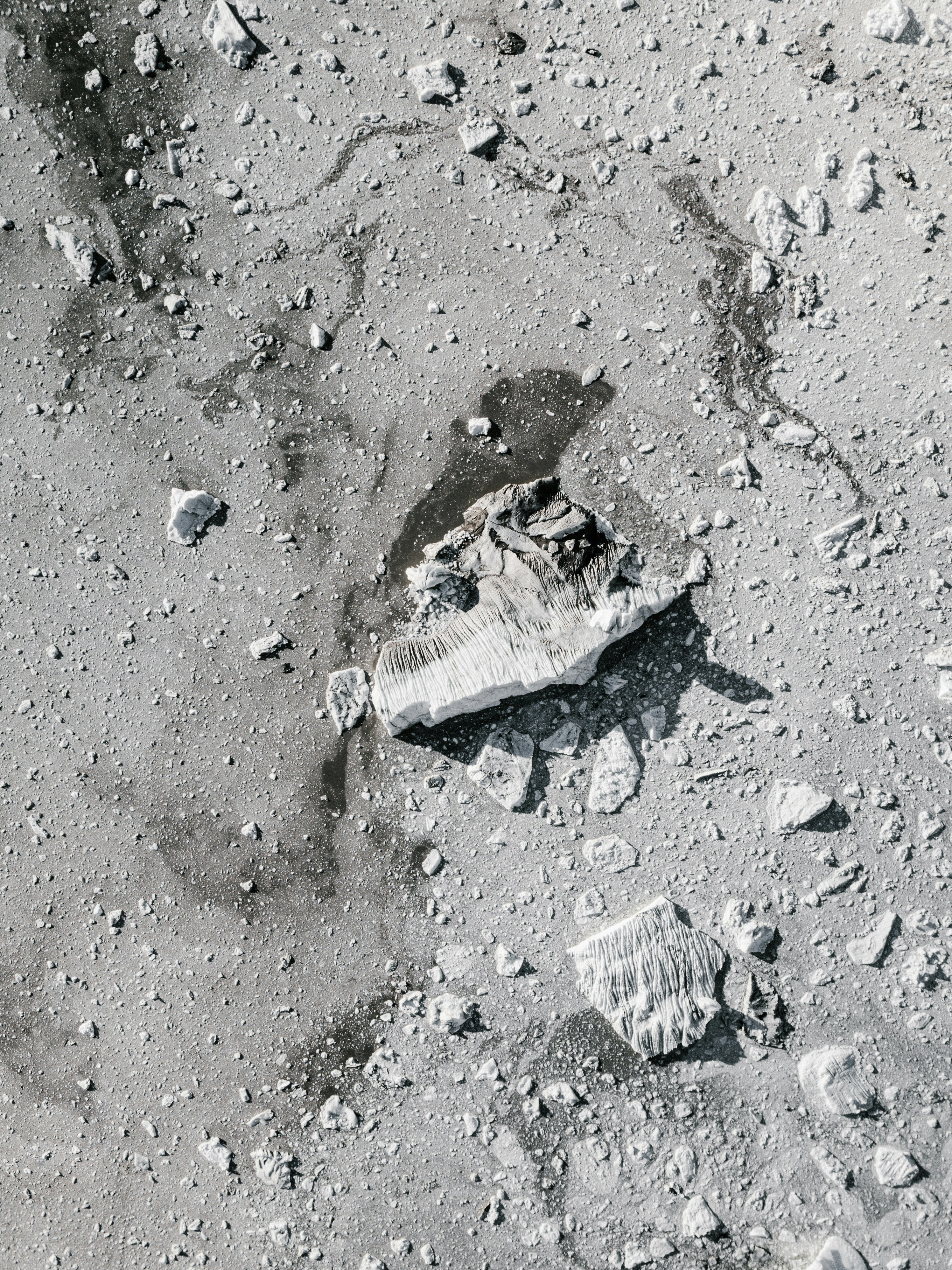 Photo by anniespratt