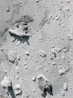 Large and small rocks scattered across a dusty, light gray surface. Shadows and textures suggest a barren, uneven terrain.