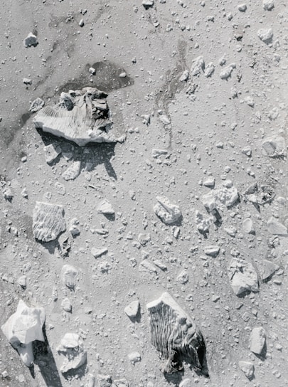 Large and small rocks scattered across a dusty, light gray surface. Shadows and textures suggest a barren, uneven terrain.