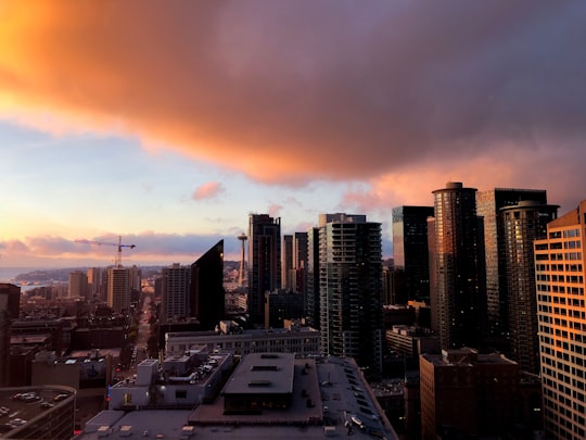 city buildings in aerial view photography in Seattle United States