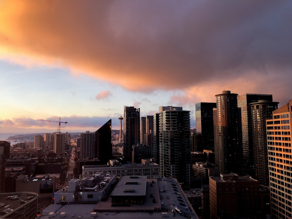 city buildings in aerial view photography