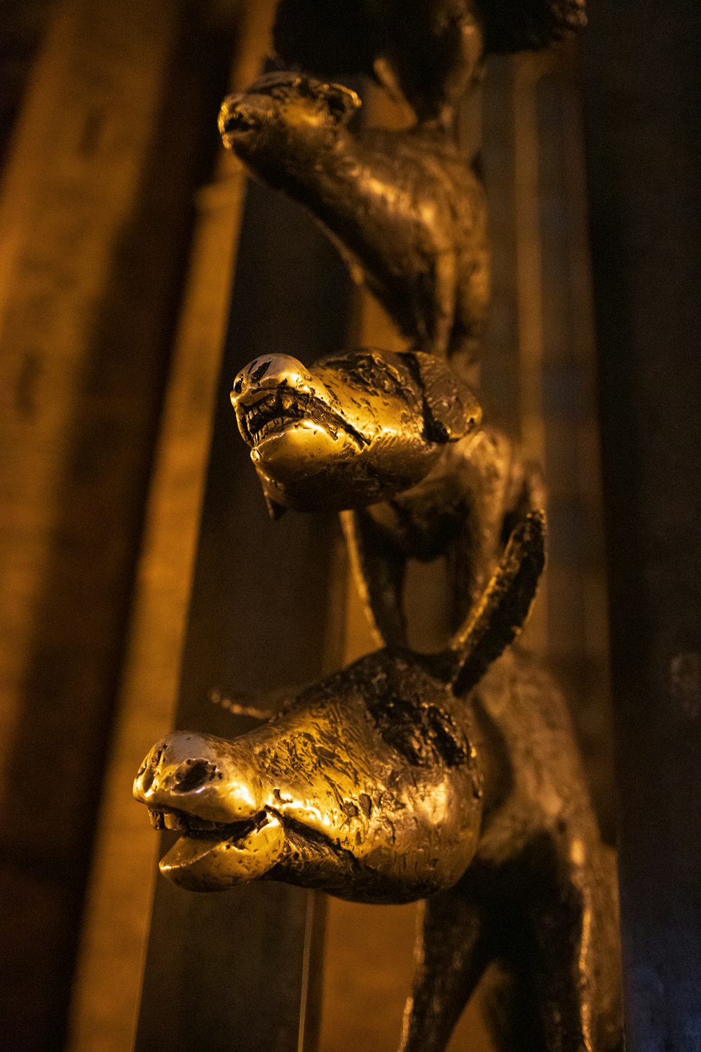 crânio de animal de ouro na superfície de madeira marrom