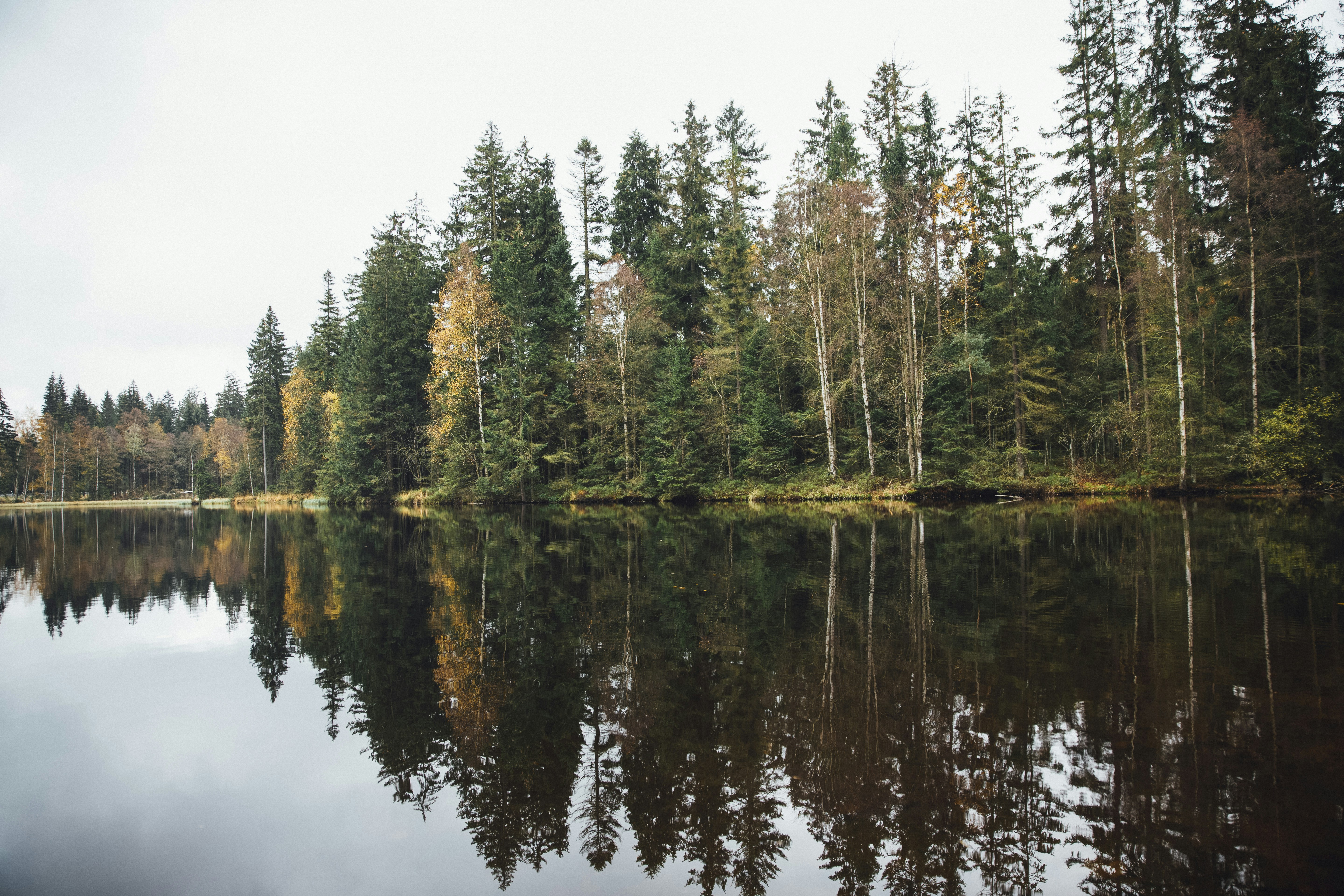 Photo by markusspiske