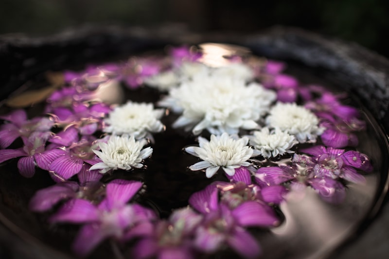 White water lilies in Thai spa setting