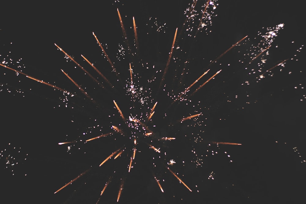 multicolored fireworks display