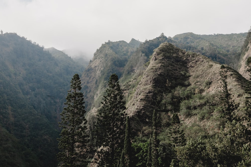 Montaña bajo el cielo