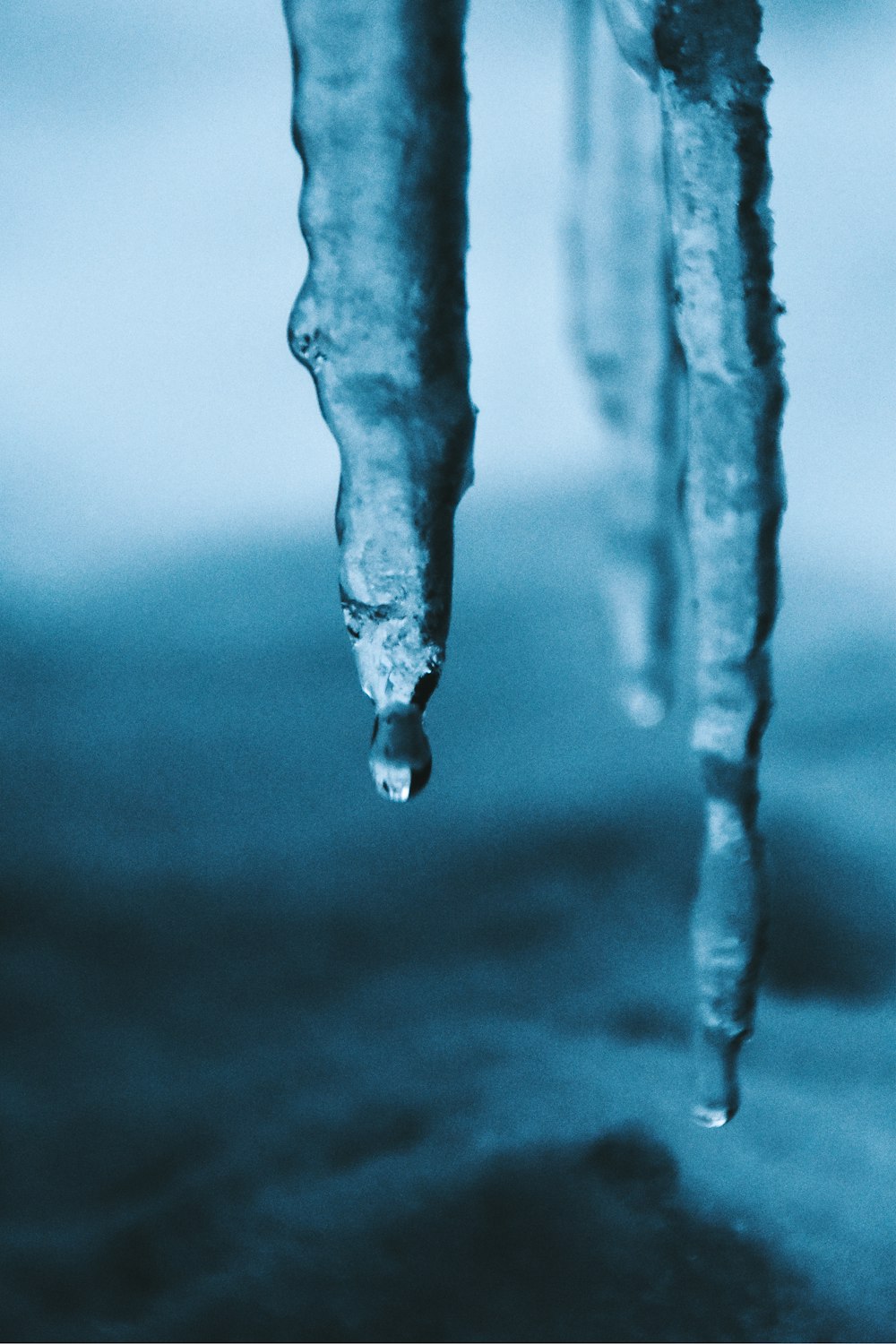 Fotografia de foco seletivo do icicle